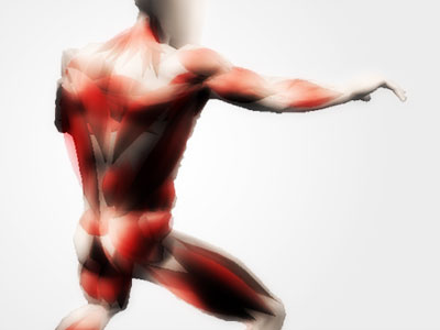 Human model fitted with approximated muscles underneath