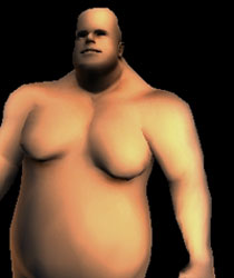 Fats Simulation